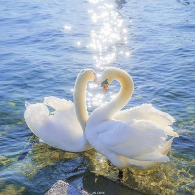 彩8官网入口·官方网站